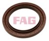 FAG 413 0250 10 Shaft Seal, wheel bearing